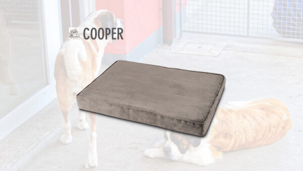 COOPER
