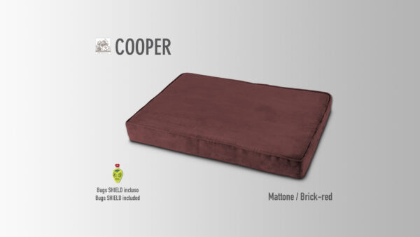 COOPER - immagine 6