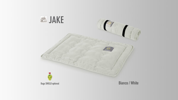 JAKE - immagine 2