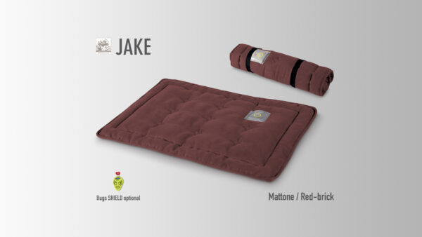 JAKE - immagine 6
