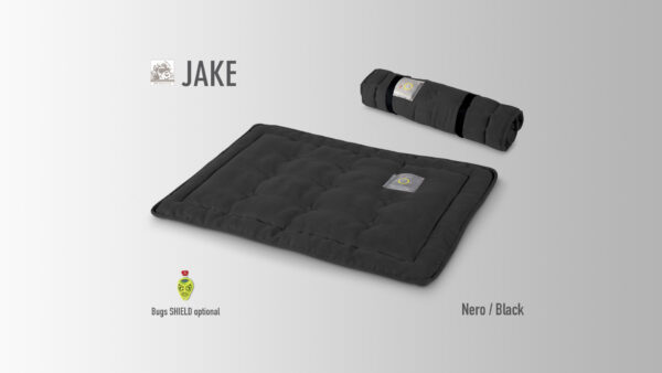 JAKE - immagine 8