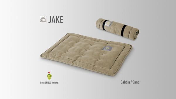 JAKE - immagine 3