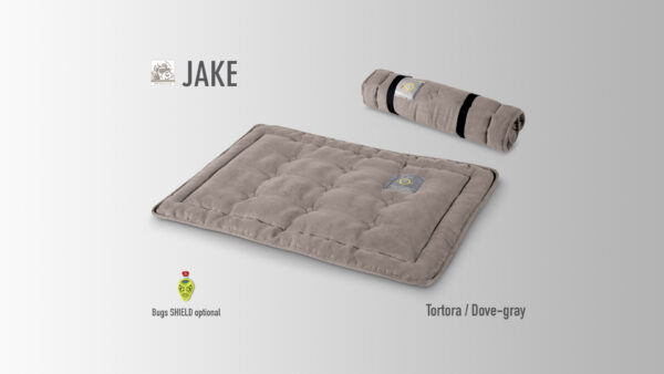 JAKE - immagine 4
