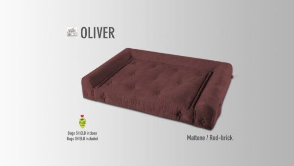 OLIVER - immagine 6