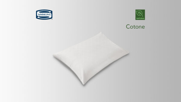 Cotone