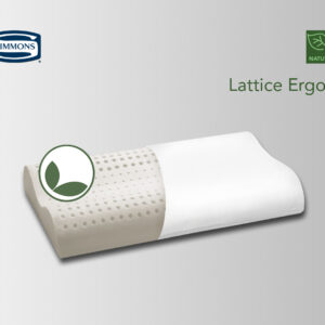 Lattice Ergon