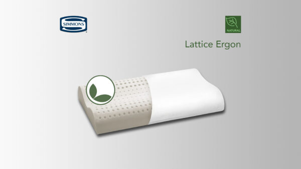 Lattice Ergon