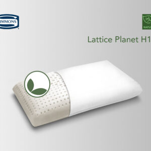 Lattice Planet H10